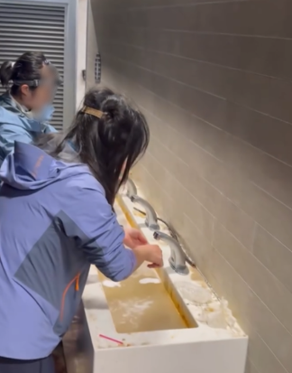 慎入！西貢天堂變地獄！公廁驚現「公仔麵撈排泄物」　網民：香港史上最癲