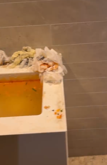 以後露營或要搶飛？政府擬推「收費預約制」告別免費營地最快國慶試行