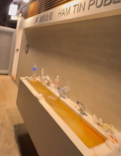 慎入！西貢天堂變地獄！公廁驚現「公仔麵撈排泄物」　網民：香港史上最癲