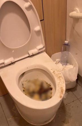 慎入！西貢天堂變地獄！公廁驚現「公仔麵撈排泄物」　網民：香港史上最癲