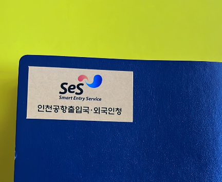 2026韓國旅遊懶人包!申請電子入境卡、行動電源要有1標示、此常用藥列禁藥