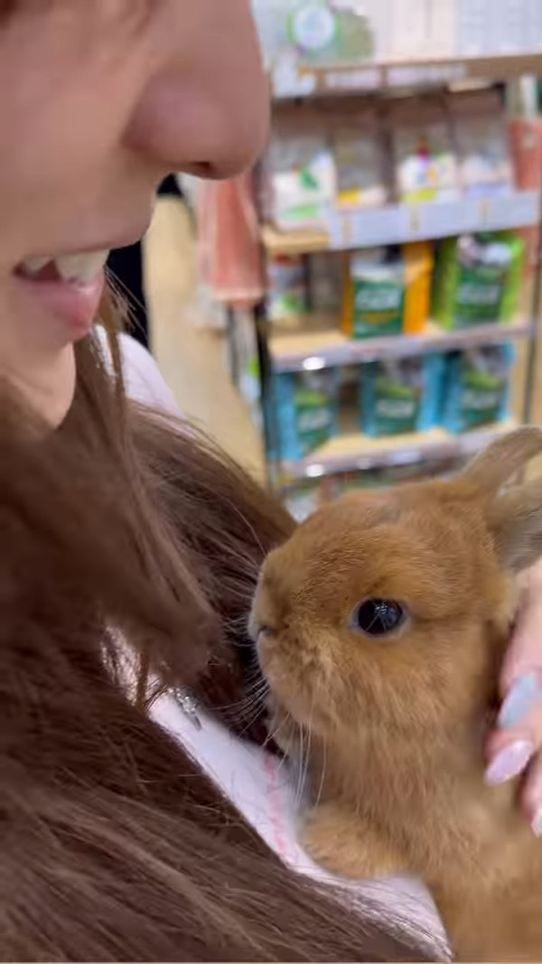 鍾柔美疑被踢爆假A0後扮冇事發生？首度蒲頭發聲10字回應反被鬧爆