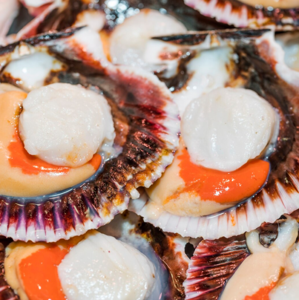 圖片來源:freepik 圖片來源:freepik