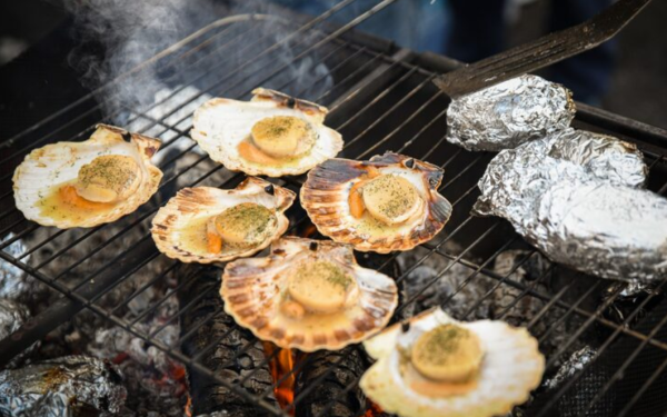 圖片來源:freepik 圖片來源:freepik