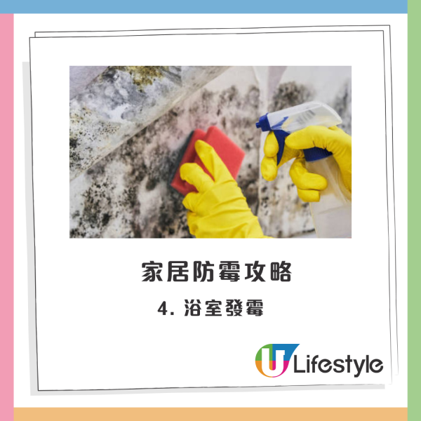 家居去霉｜牆身發黑用漂白水錯晒？專家揭「廚房2物」勁過除霉劑！木櫃/皮梳化一抹即發光