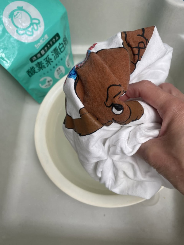 圖片來源：Facebook@陳映如-Sona Queen的生活筆記本