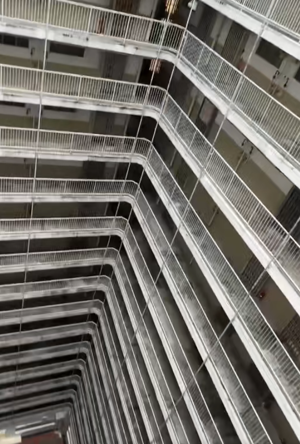 公屋二派｜港媽獲派「井字型」高層嚇到腳軟：睇到都怕！因1個安全隱憂決絕拒絕