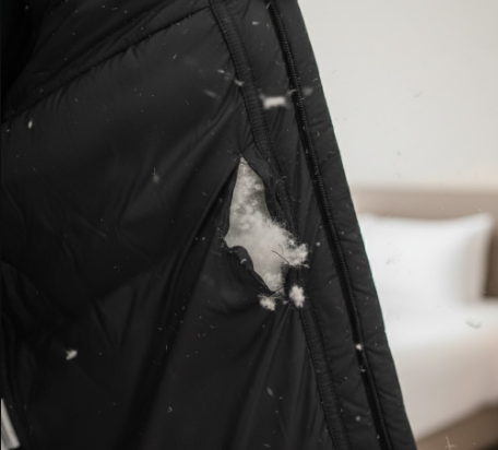 圖片來源:AI 圖片來源:AI