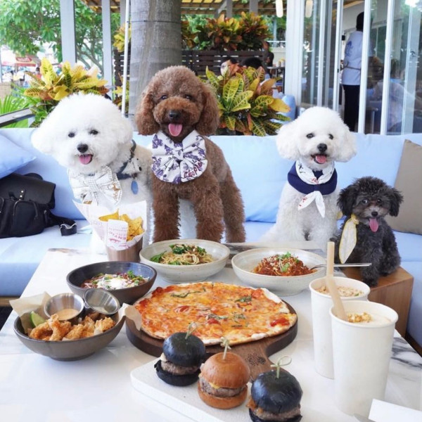 西貢碼頭淪「吉舖死城」？海濱餐廳排隊執笠　網民嘆：不如賣魚蛋燒賣