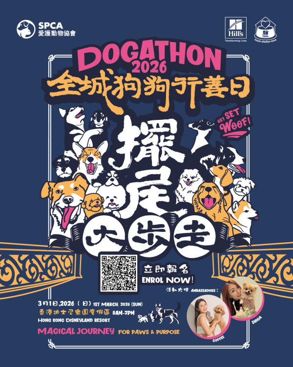 港鐵首度「解禁」准狗狗入閘搭車！限定一日 須符合3大條件！即睇報名方法