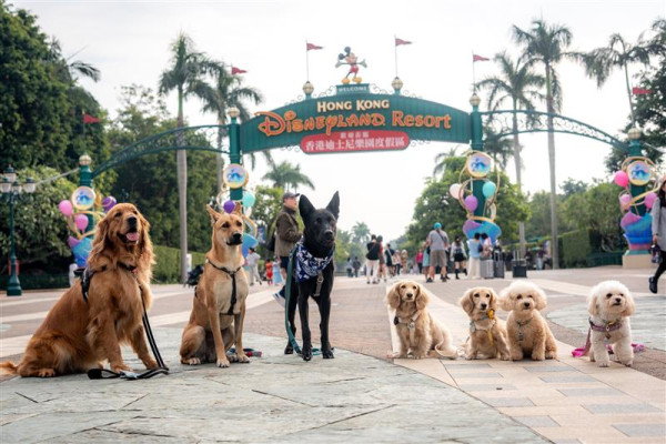 港鐵首度「解禁」准狗狗入閘搭車！限定一日 須符合3大條件！即睇報名方法