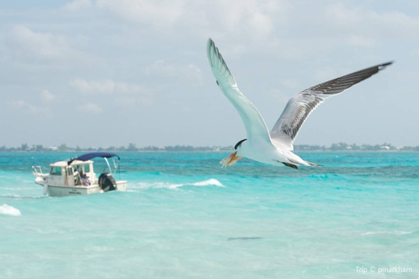 圖片來源：Trip.com