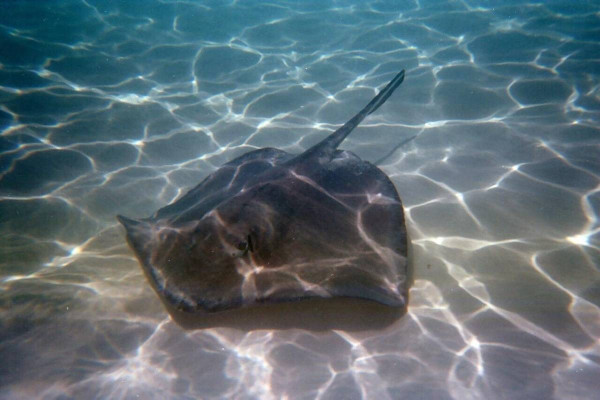 圖片來源：Trip.com