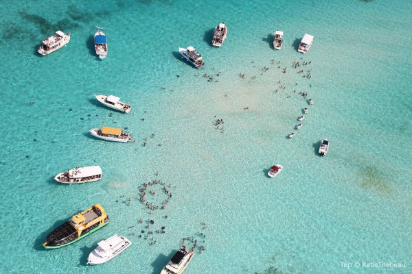 圖片來源：Trip.com