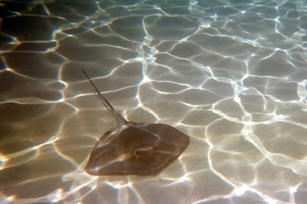 圖片來源：Trip.com