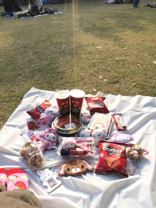 野餐墊唔使買貴嘢！IKEA$15「霧面神物」被網民推爆　瘋傳隱藏用法：防水防污