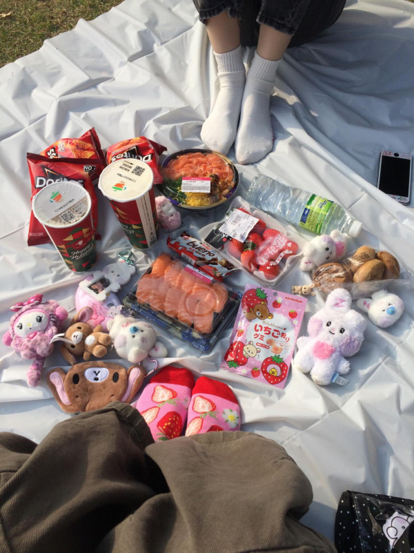 野餐墊唔使買貴嘢！IKEA$15「霧面神物」被網民推爆　瘋傳隱藏用法：防水防污