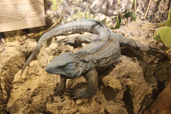 圖片來源：Trip.com