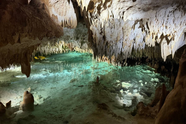 圖片來源：Trip.com