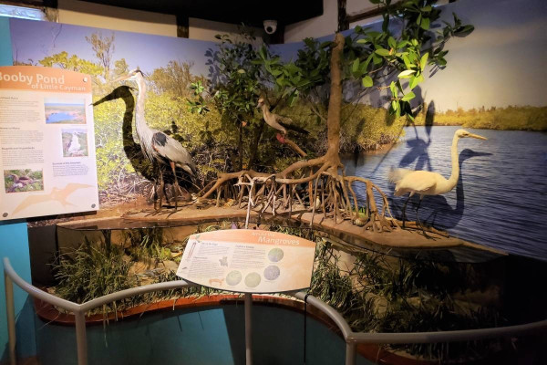 圖片來源：Trip.com