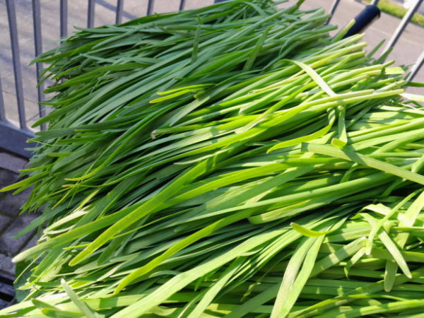 寒流穿短袖是「拿命去賭」？醫生點名6類人隨時猝死！教你3款暖身湯水護心保命