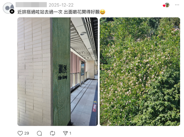 大圍顯徑站獲封香港最美地鐵站爆紅。（截圖：Threads）