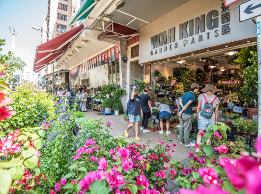 旺角花墟驚現「Bid花」熱潮！$1起標好玩過年宵？教你平價入手名貴盆栽