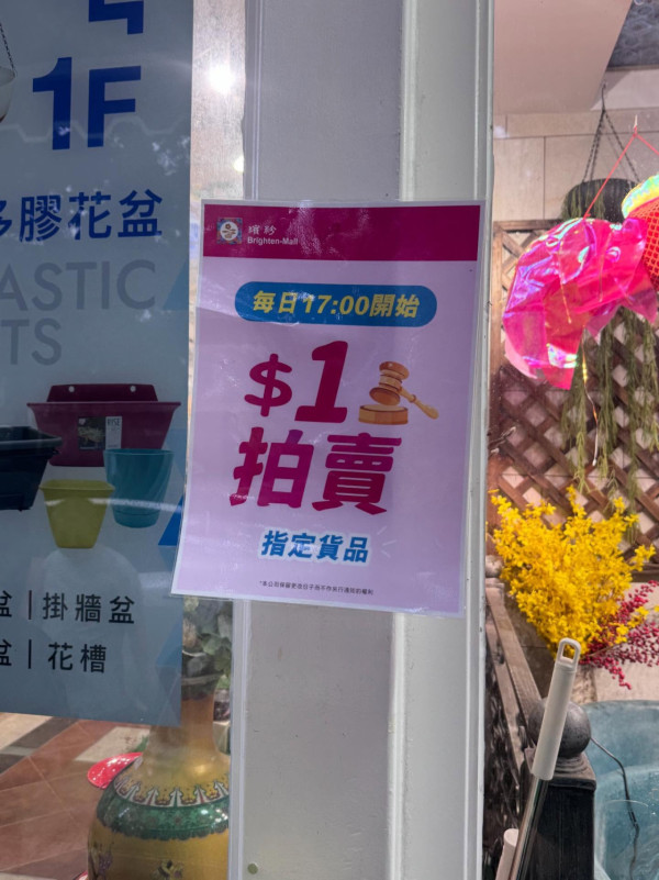 旺角花墟驚現「Bid花」熱潮！$1起標好玩過年宵？教你平價入手名貴盆栽