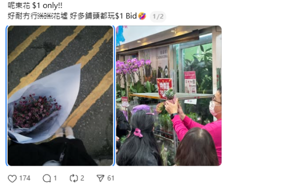 旺角花墟驚現「Bid花」熱潮！$1起標好玩過年宵？教你平價入手名貴盆栽