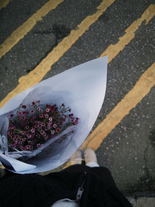 旺角花墟驚現「Bid花」熱潮！$1起標好玩過年宵？教你平價入手名貴盆栽