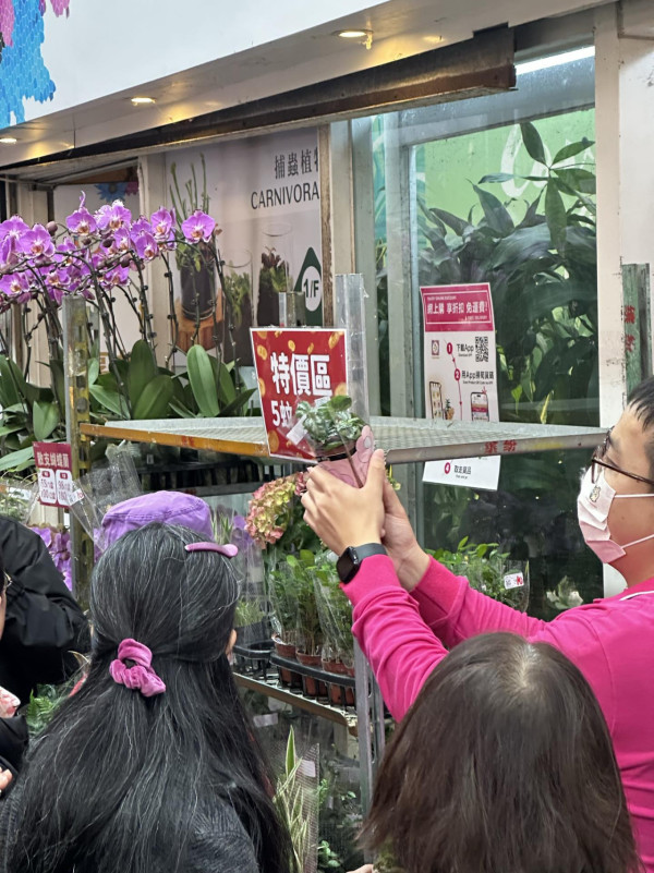 旺角花墟驚現「Bid花」熱潮！$1起標好玩過年宵？教你平價入手名貴盆栽
