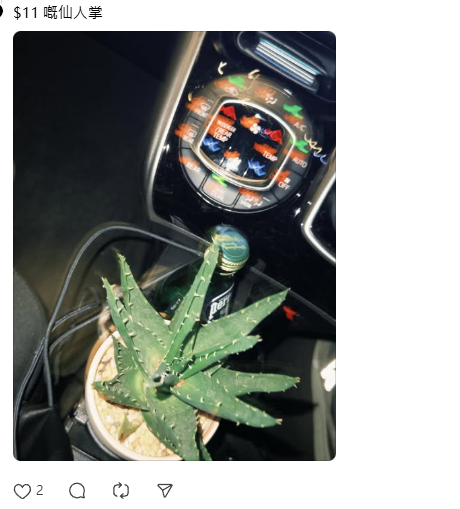 旺角花墟驚現「Bid花」熱潮！$1起標好玩過年宵？教你平價入手名貴盆栽