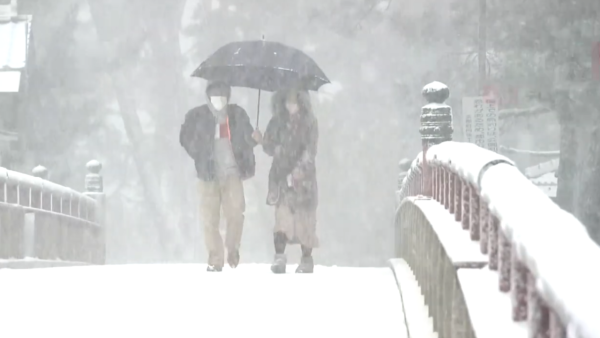 遊日注意！日本氣象廳向東北地區發大雪預警 12日起或現「十年一度大雪」 