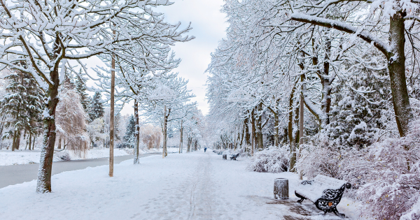遊日注意！日本氣象廳向東北地區發大雪預警 12日起或現「十年一度大雪」 