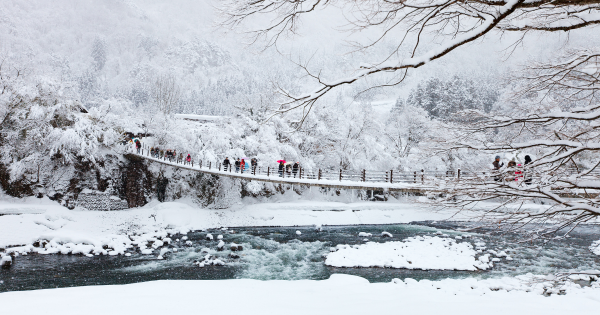 遊日注意！日本氣象廳向東北地區發大雪預警 12日起或現「十年一度大雪」 