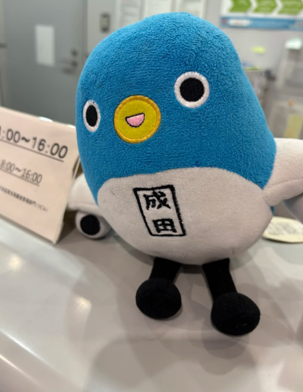 照片來源:小紅書@安康魚 照片來源:小紅書@安康魚