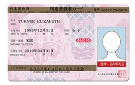 照片來源:Waysim 照片來源:Waysim