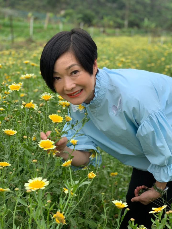 譚玉瑛跑樓梯意外跌倒「膝蓋骨碎裂」 忍痛延遲手術傷勢曝光︰包紮得好似大件事