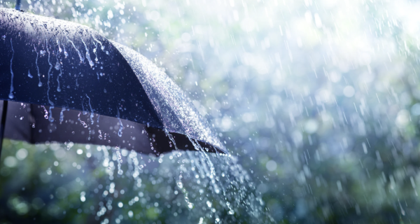 唔再論盡!MUJI旅行3寶網民激推︰近身袋安心免摷、0買到「流動儲物櫃」