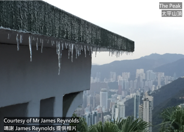 香港1月會落雪？歐洲預報現「極端低溫」瘋傳恐跌至5度　附天文台最新預測