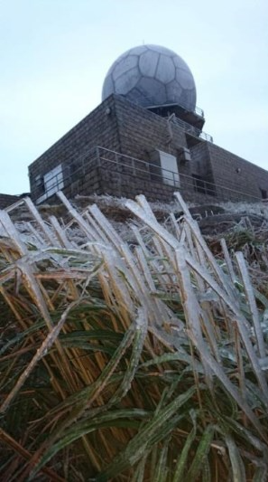 香港1月會落雪？歐洲預報現「極端低溫」瘋傳恐跌至5度　附天文台最新預測