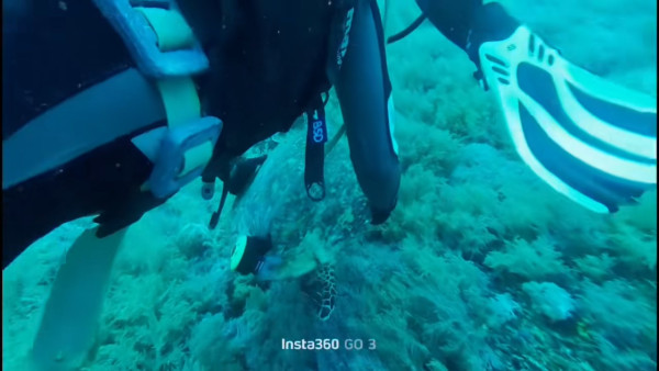 圖片來源:抖音 圖片來源:抖音