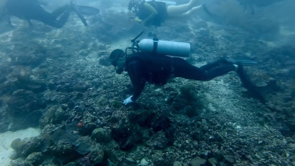 圖片來源:抖音 圖片來源:抖音