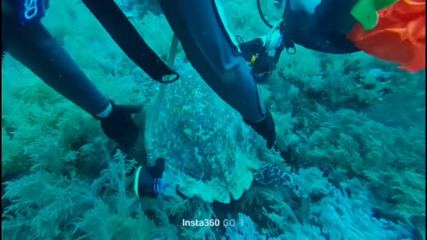 圖片來源:抖音 圖片來源:抖音