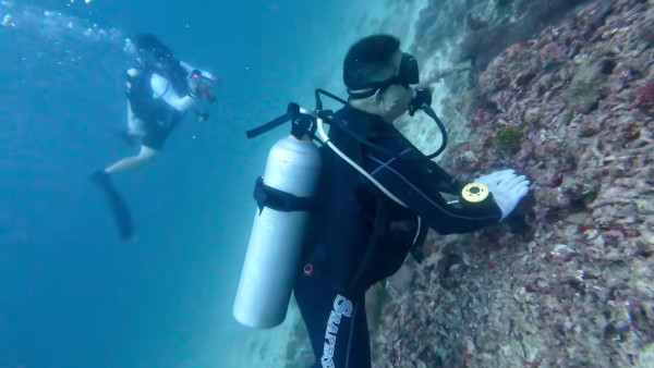 圖片來源:抖音 圖片來源:抖音