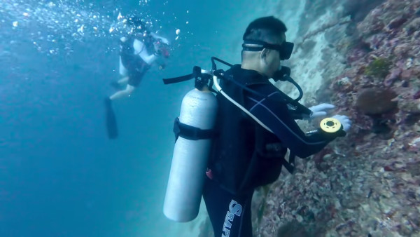 圖片來源:抖音 圖片來源:抖音