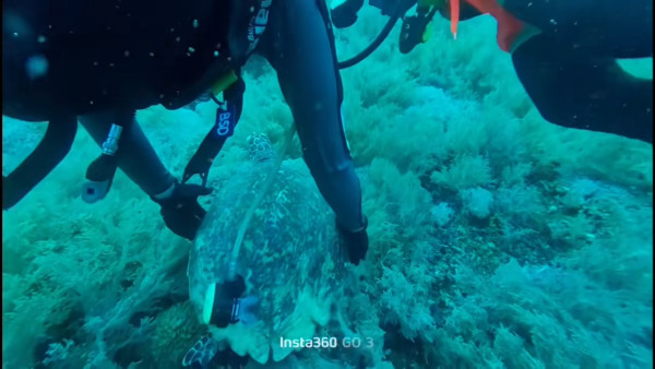 圖片來源:抖音 圖片來源:抖音