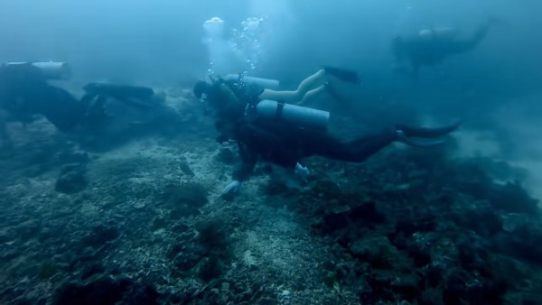 圖片來源:抖音 圖片來源:抖音