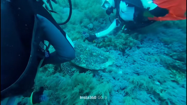 圖片來源:抖音 圖片來源:抖音