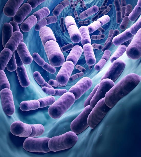 雀巢、惠氏奶粉或含蠟樣芽孢桿菌！食安籲停食＋不適盡快求醫／附受影響完整名單